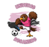 logo universo rosanero